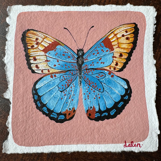 Butterfly - 003