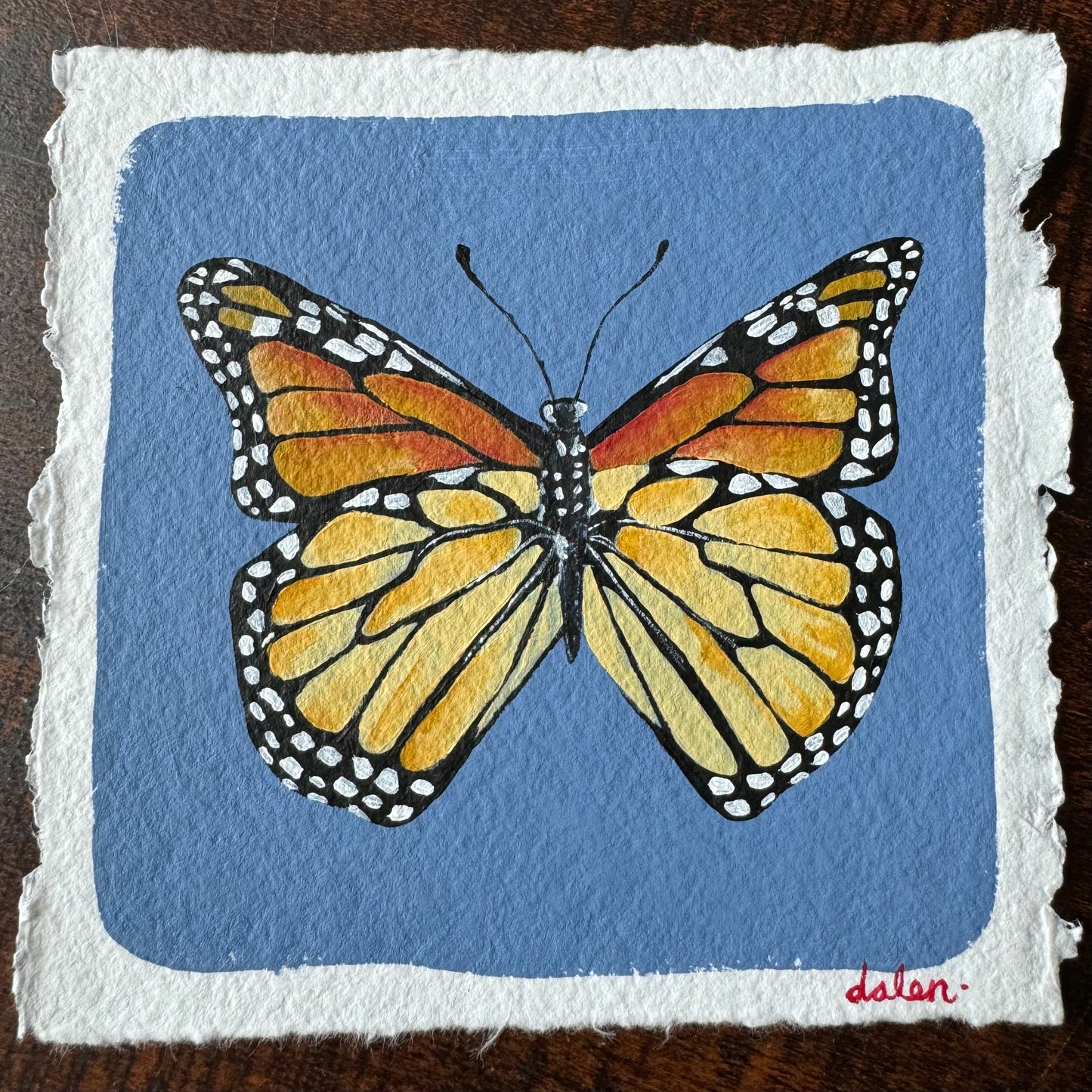 Butterfly - 002